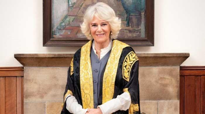 Queen Camilla mocked over education, 'termination' from job