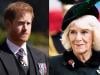 Prince Harry deeply upset by 'step mom' Queen Camilla move
