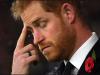 Prince Harry's lack of sincerity lands him on the chopping block: ‘Stop covering it up!'