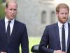 Prince Harry, Prince William grew up differently despite Diana's equal love