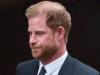 Prince Harry sparks questions about his motivations