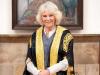 Queen Camilla mocked over education, 'termination' from job
