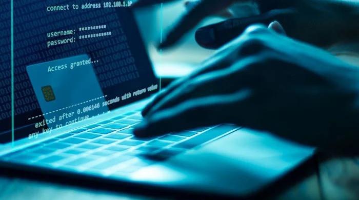 FY25 IT exports reach $3.8bn, June posts record $338m