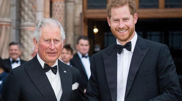 'Seriously worried' Prince Harry 'desperate' for reconciliation with King Charles