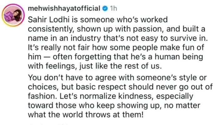 Mehwish Hayats post on Instagram. — Instagram/@mehwishhayatofficial