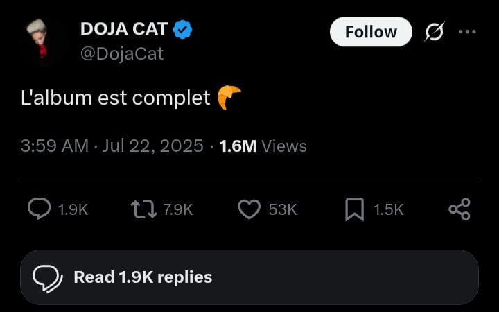Doja Cat shares exciting news for fans