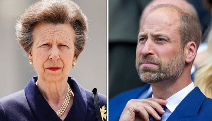 Princess Anne holds crucial meeting amid frustration with Prince William
