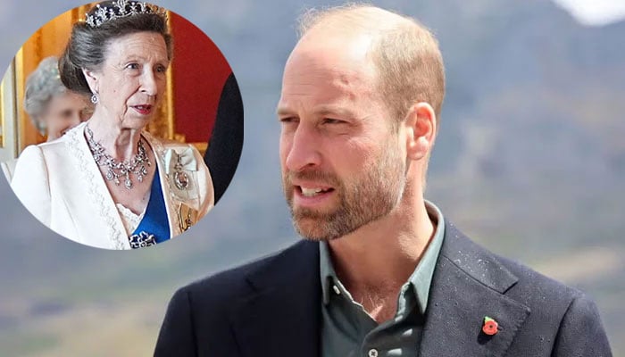 Princess Anne wants Prince William to earn ‘bread and butter