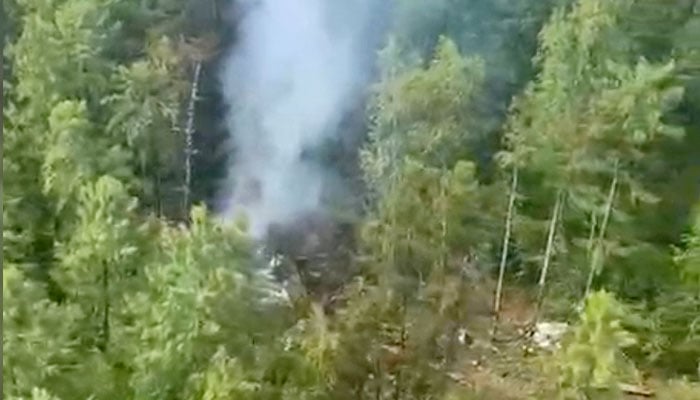 Smoke rises at the crash site of an Angara Airlines An-24 passenger plane near Tynda in the Amur Region, Russia, July 24, 2025. — Reuters