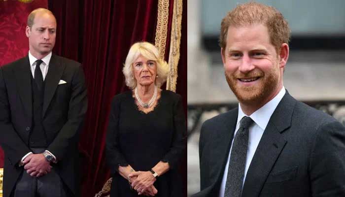 Prince William, Camilla present united front as King Charles talks to Prince Harry