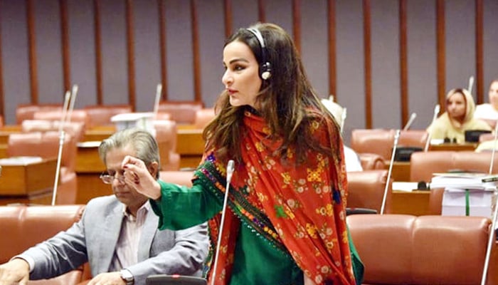 Senator Sherry Rehman speaks during a session of the House in this undated image. — Radio Pakistan