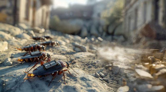 AI, drones and ‘spy cockroaches' reshape Germany's defence
