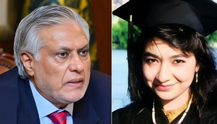 This collage shows Deputy Prime Minister and Foreign Minister Ishaq Dar and incarcerated Pakistani scientist Dr Aafia Siddiqui. — Radio Pakistan/Facebook@FreeAafiaSiddiquiNow/File