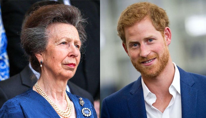 Prince Harry needs ‘teamwork lectures from Princess Anne: says expert
