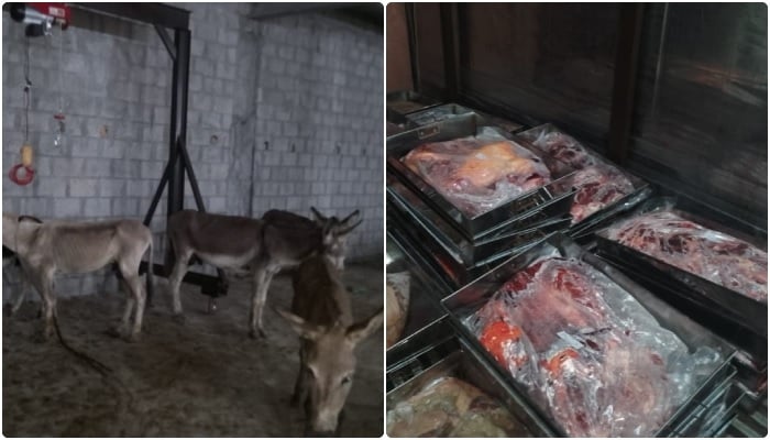 Collage shows donkeys and seized meat at an illegal slaughterhouse in Tarnol, Islamabad, on July 27, 2025. —Reporter