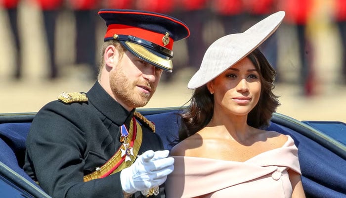 Prince Harry may struggle more than Meghan after Netflix deal expires