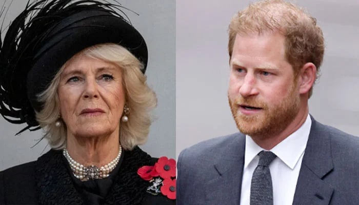 Prince Harry could at the mercy of Queen Camilla amid peace talks