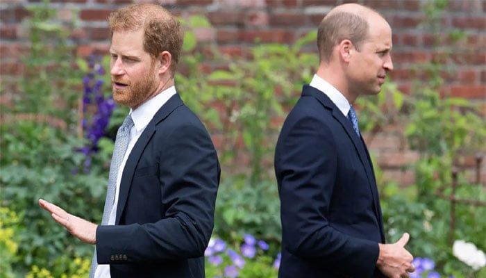 Prince William reacts to Harrys latest olive branch?