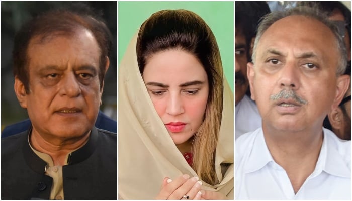 (From left) Senate Opposition Leader Shibli Faraz, PTI leader Zartaj Gul, and National Assembly Opposition Leader Omar Ayub. — Online/Instagram@zartajgullwazir
