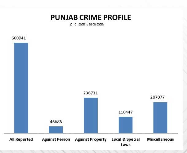 Crime stats from Jan-June 2025 available on the Punjab police’s official website.