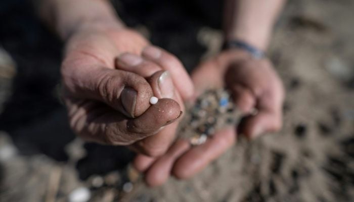 A volunteer shows nurdles collected during a beach clean organised on the Tregantle beach part of the Whitesand Bay, near Freathy, south western England, on February 26, 2023. — AFP