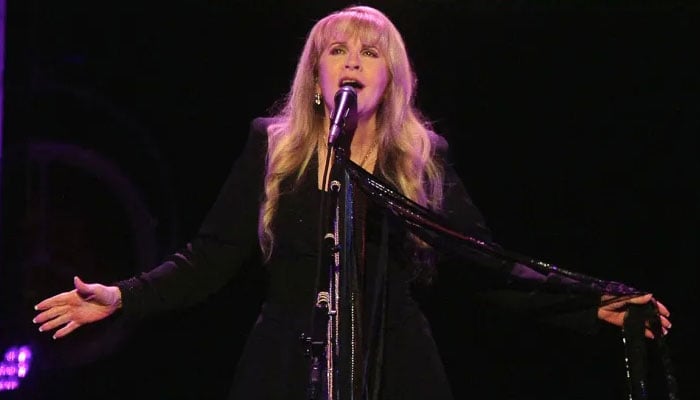 Stevie Nicks postpones tour after painful injury