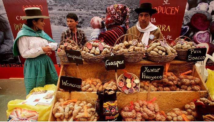 Farmers sell different types of potatoes native to the Andes at the Gastronomic Fair Mistura 2010 in Lima, Peru, September 7, 2010.—Reuters