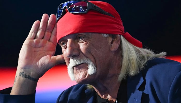 Hulk Hogan did not meet grandchildren before passing away
