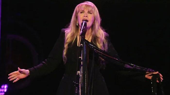 Stevie Nicks halts tour after painful injury