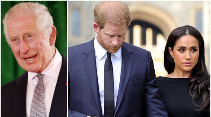 Prince Harry, Meghan's seeking 'part time comeback' through peace talks? 