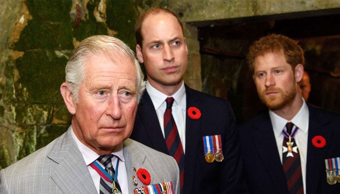 King Charles could become ‘potential peacemaker’ in Prince Harry, William feud
