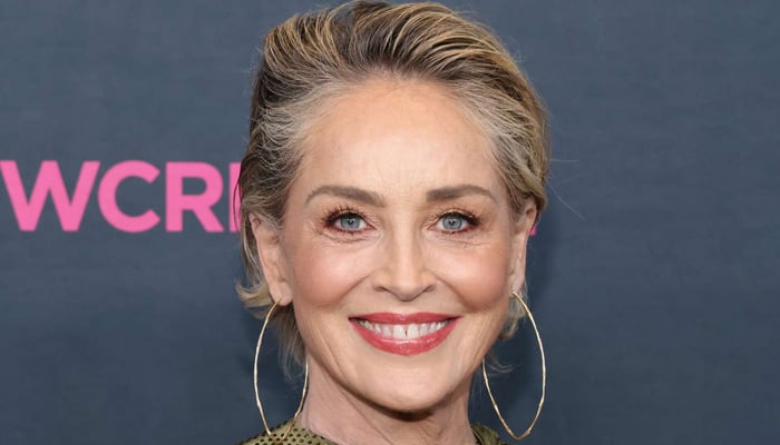 Sharon Stone reveals reason behind frustration with ‘Nobody 2’