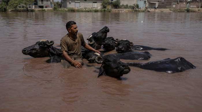 Pakistan monsoon death toll nears 300 as more rains likely from today