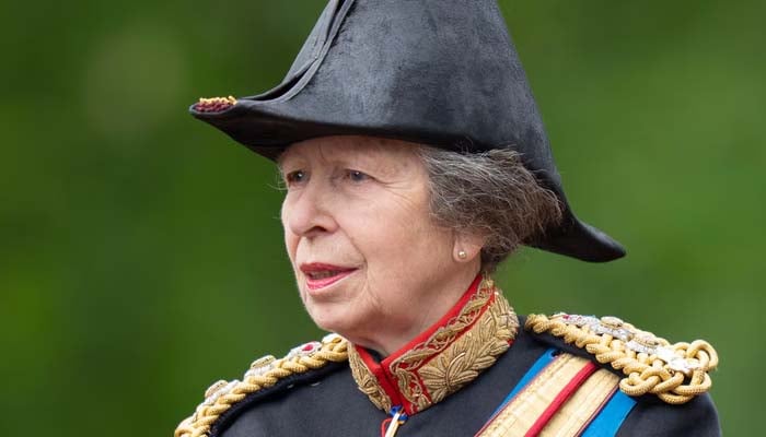 Princess Anne attacker spills shocking new details