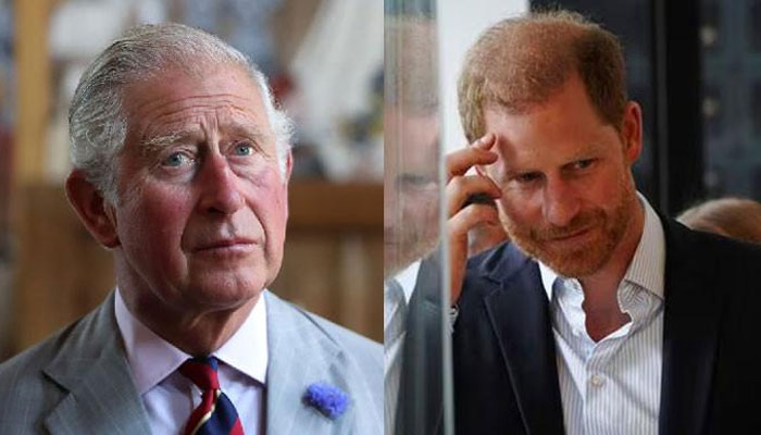 Prince Harry’s efforts to reconnect with King Charles met with caution