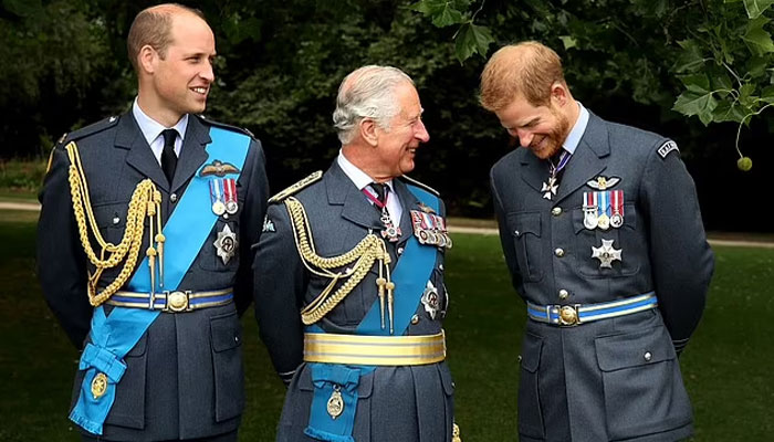Prince Harry receives new title amid peace talks with King Charles
