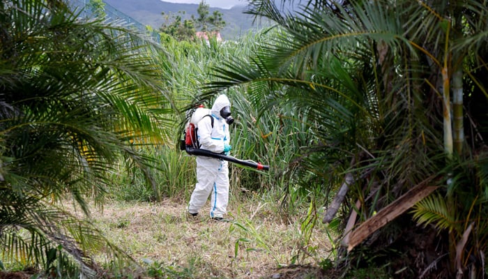An ARS vector control agent operates as part of the fight against the Chikungunya pandemic by mosquitoes in Saint-Benoit on the French overseas island of La Reunion on April 22, 2025. — AFP