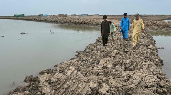 Death of a delta: Pakistan's Indus sinks and shrinks