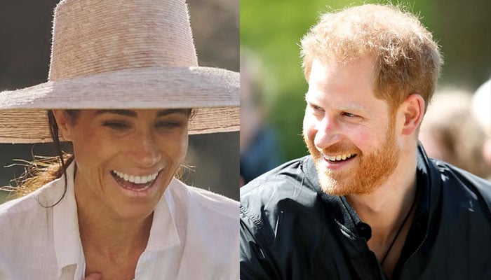 Meghan Markle showers love on Prince Harry in adorable tribute