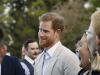 Prince Harry urged to attend major royal event to regain 'popularity' 