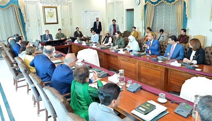 PM Shehbaz Sharif chairs a meeting in Islamabad regarding impact of rising population on development on August 7, 2025. — PID