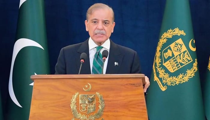Prime Minister Shehbaz Sharif addresses the nation in this file image. — PID