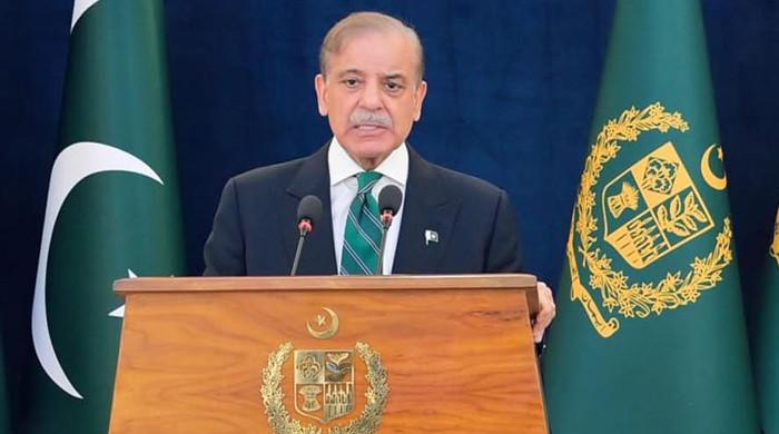 Overseas Pakistanis should rise above politics, strengthen nation's image, economy: PM