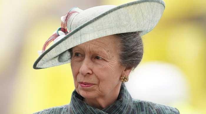 Palace shares update on Princess Anne's Ireland visit 
