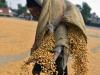 India exporters say 50% Trump levy a 'severe setback'