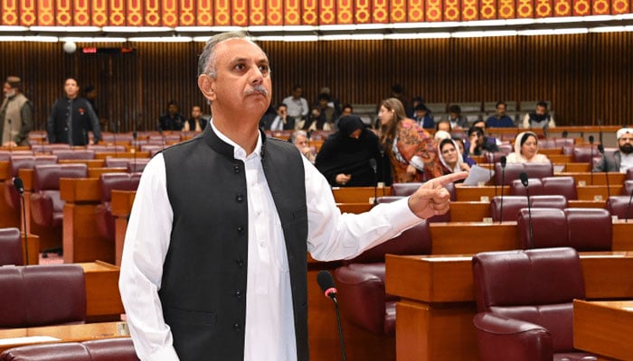 Omar Ayub Khan speaks during a National Assembly session on November 5. — X/NAofPakistan