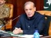 PM Shehbaz urges global action as Israel pushes 'illegal' Gaza takeover plan