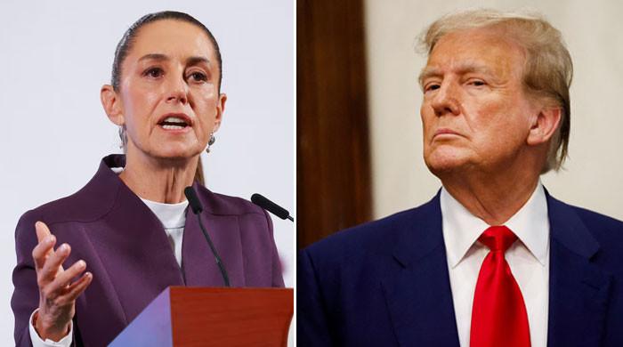 Mexico discounts risk of 'invasion' after Trump order to target cartels