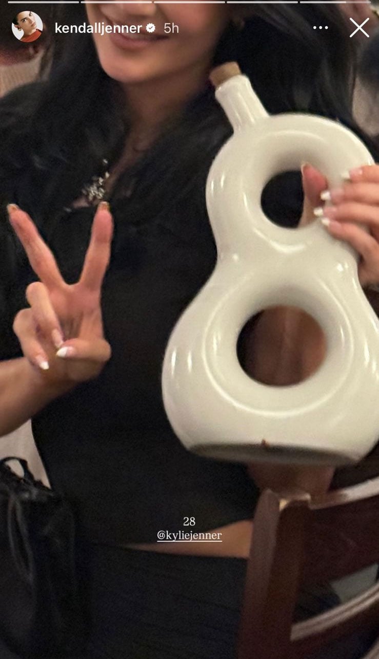 Kendall Jenner celebrates Kylies 28th amid Timothee Chalamet snub