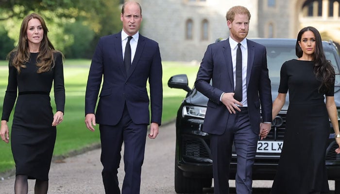 Prince Harry, Meghan smeared William, Kate Middleton in cruelest terms